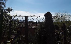 Villetta A Schiera Nei Pressi Del Mare